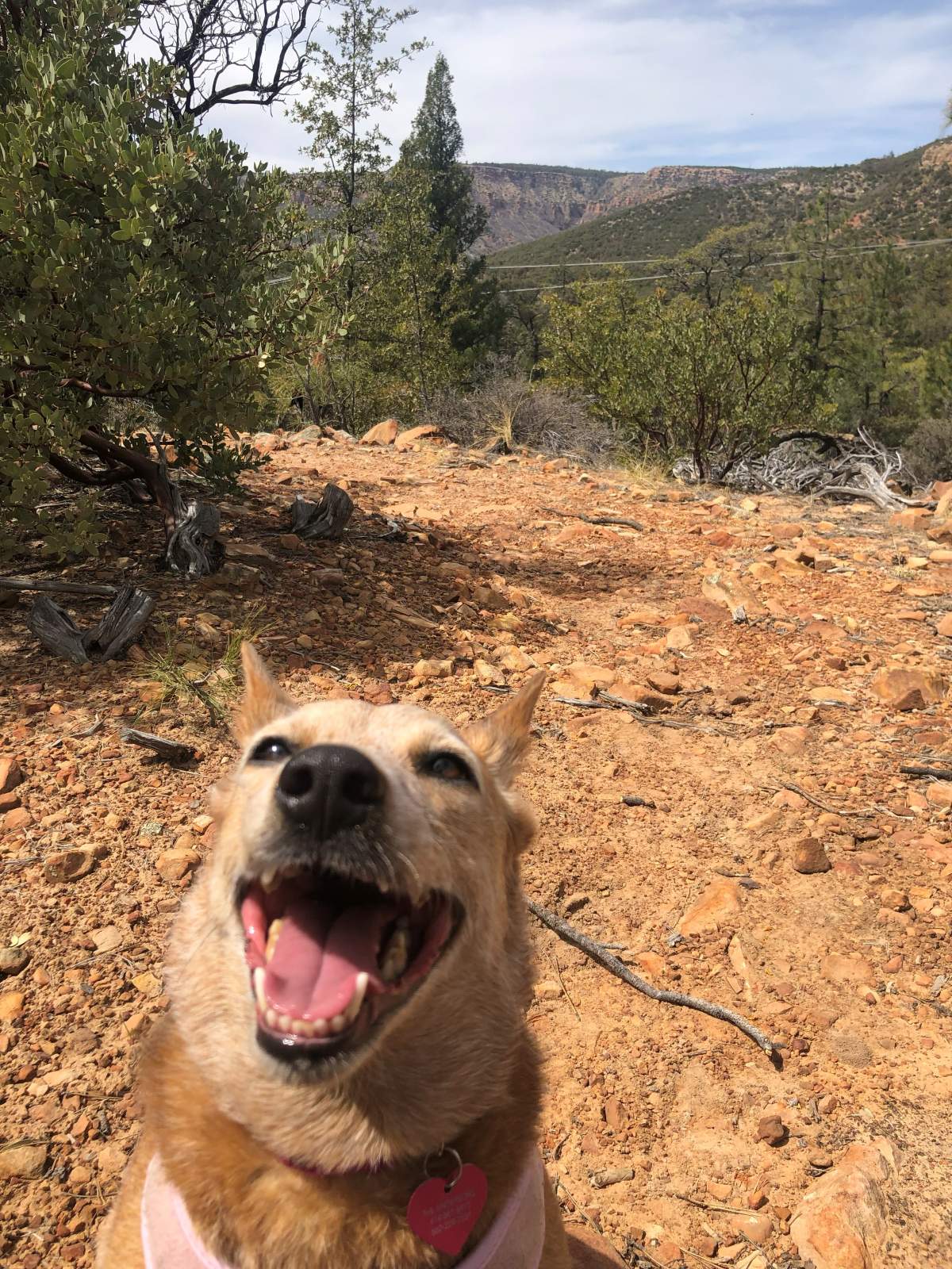 Evan and Joselyn photo